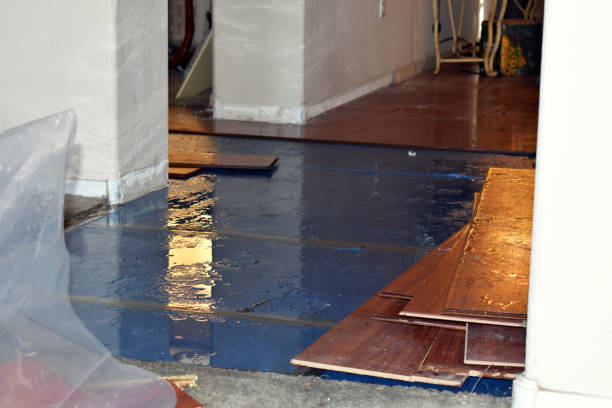 Professional Basement Water Removal technician working in Huntland, TN